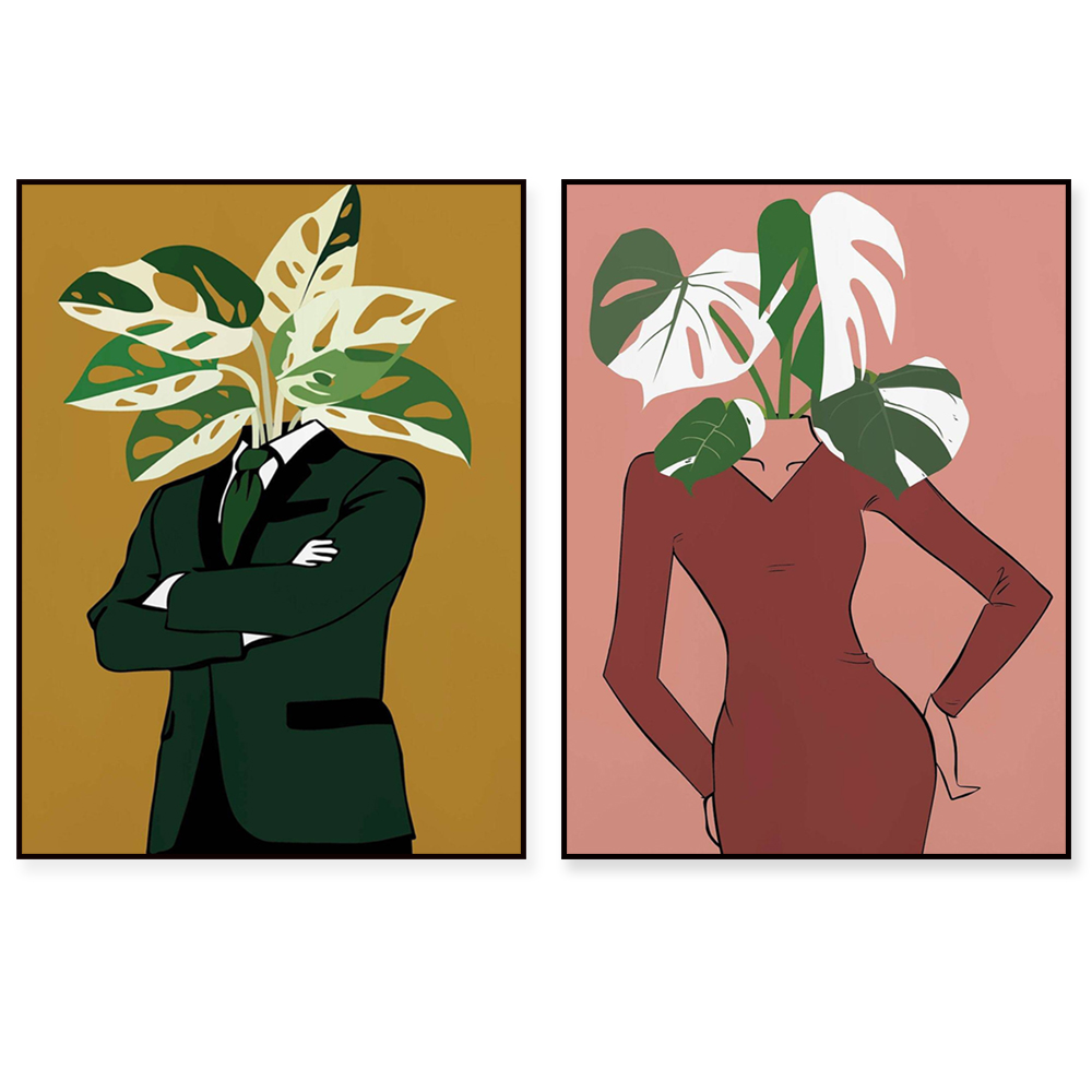 Monstera Albo in a burgundy dr – Monstera Adansonii Bewertung und Preis