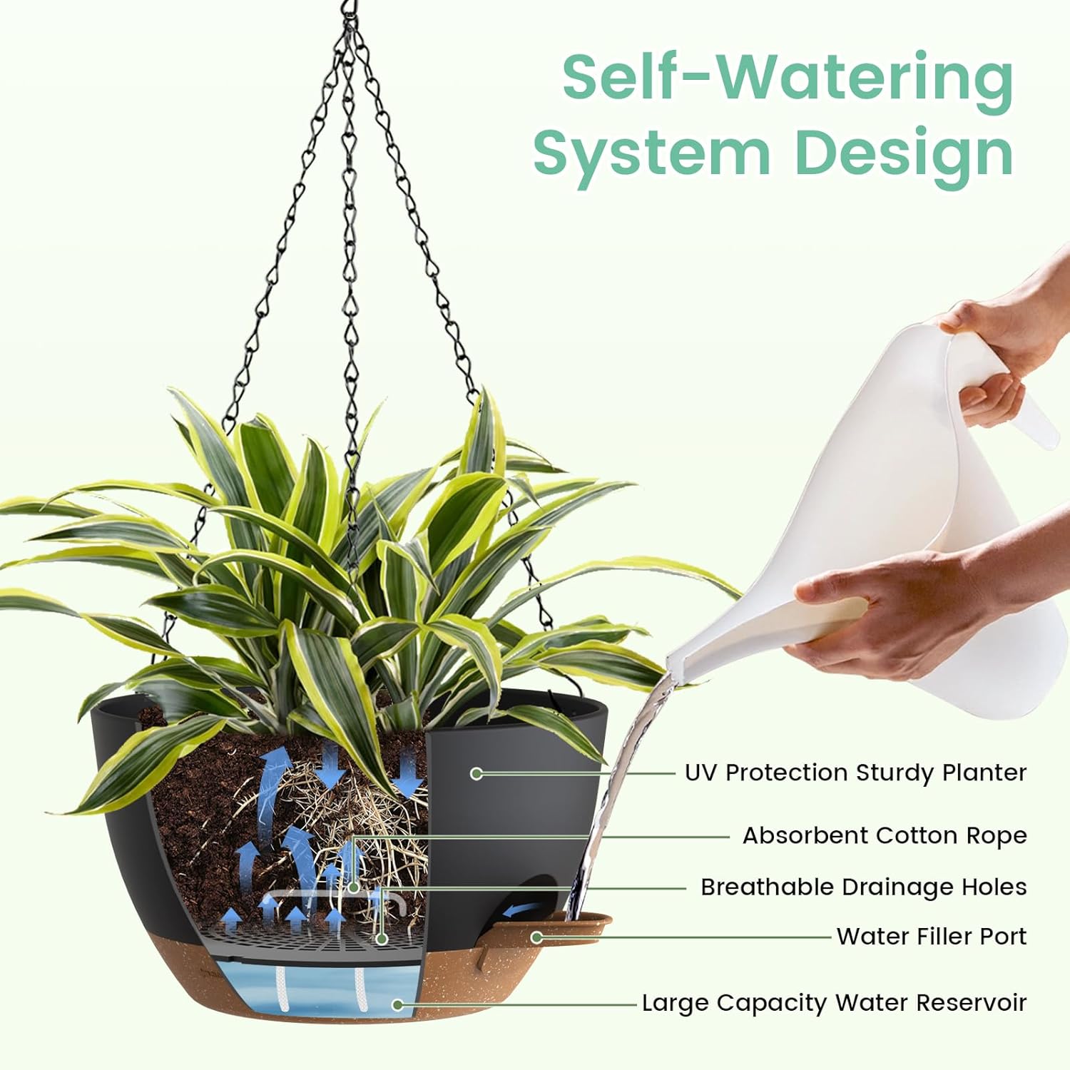 Self Watering Hanging Planters – Spider Plant Hanging Bewertung und Preis