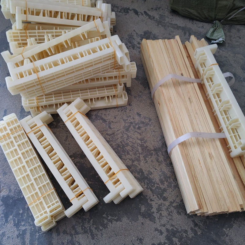 Bee Breeding Frames Plastic Ch – Begonia Rex Bewertung und Preis