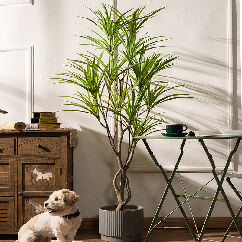90-180cm Large Artificial Tree – Dracaena Marginata Bewertung und Preis