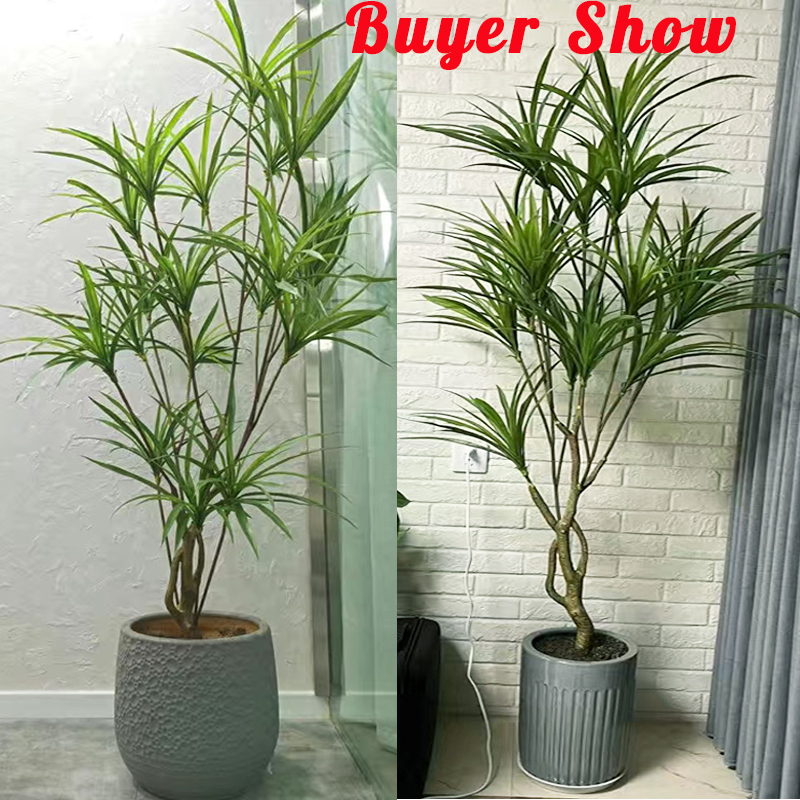 90-180cm Large Artificial Tree – Dracaena Marginata Bewertung und Preis