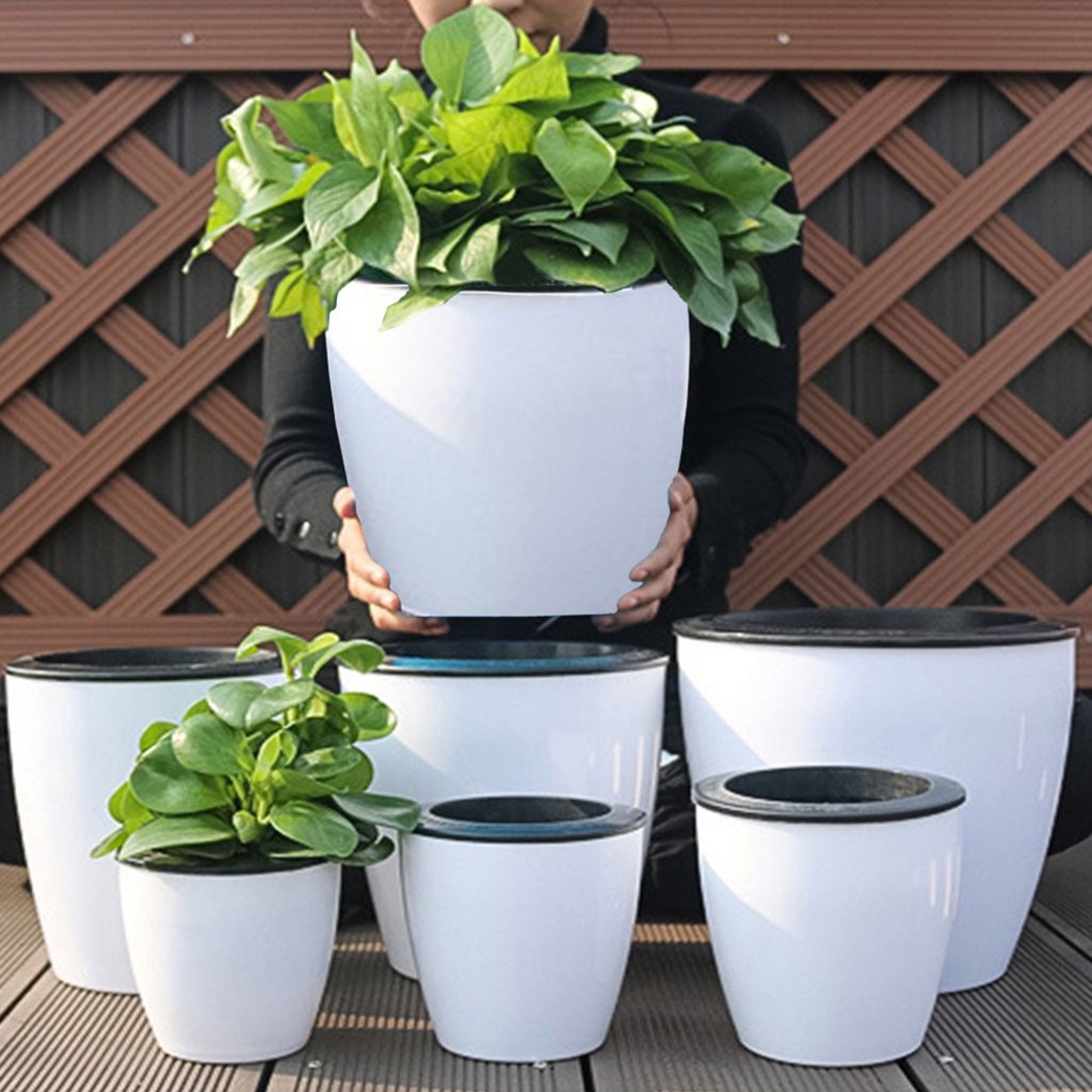 Automatic Watering Flower Plan – Aloe Vera Pot Bewertung und Preis