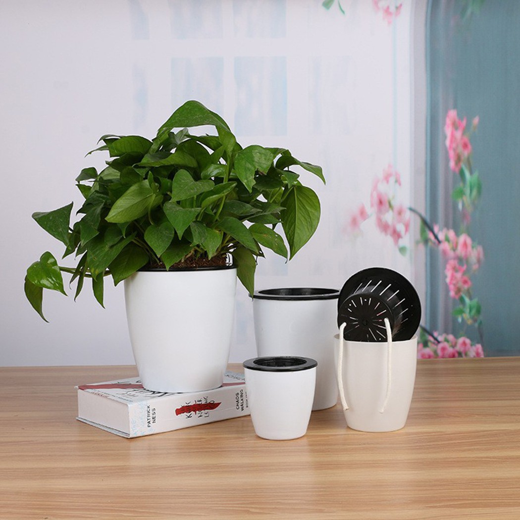 Automatic Watering Flower Plan – Aloe Vera Pot Bewertung und Preis