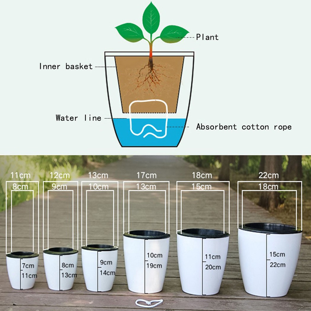 Automatic Watering Flower Plan – Aloe Vera Pot Bewertung und Preis