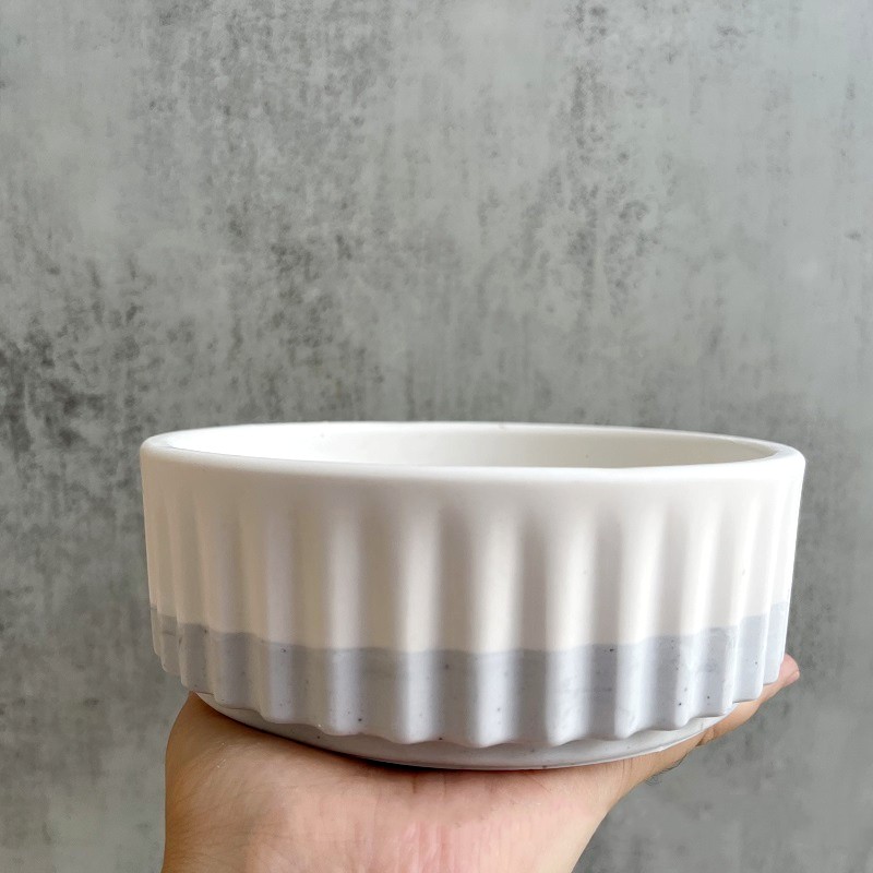 Stripe Flowerpot Silicone Mold – Echeveria Succulent Bewertung und Preis