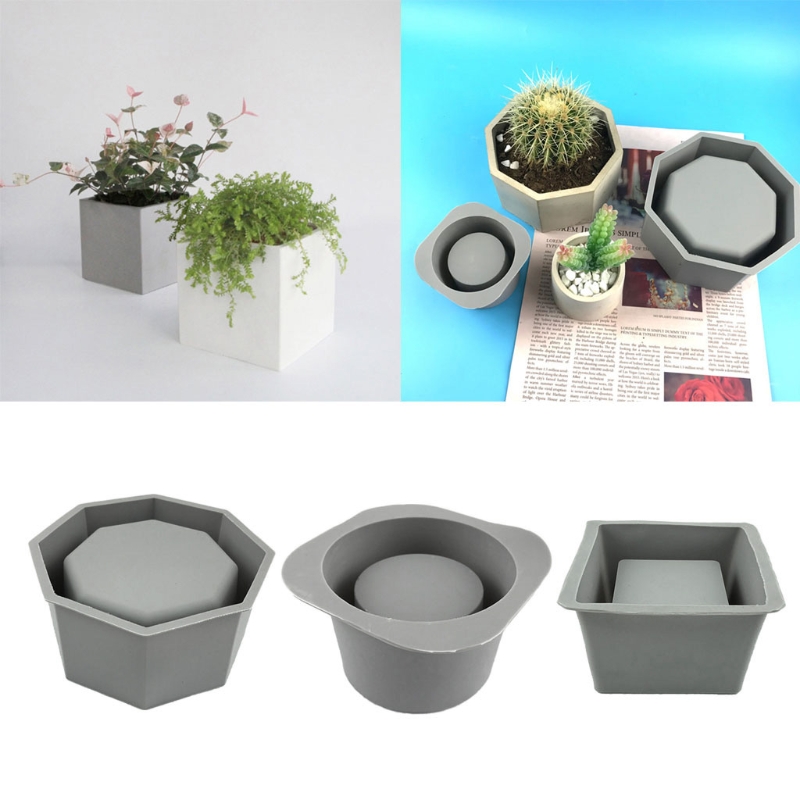 Handmade Succulent Planter Flo – Echeveria Succulent Bewertung und Preis