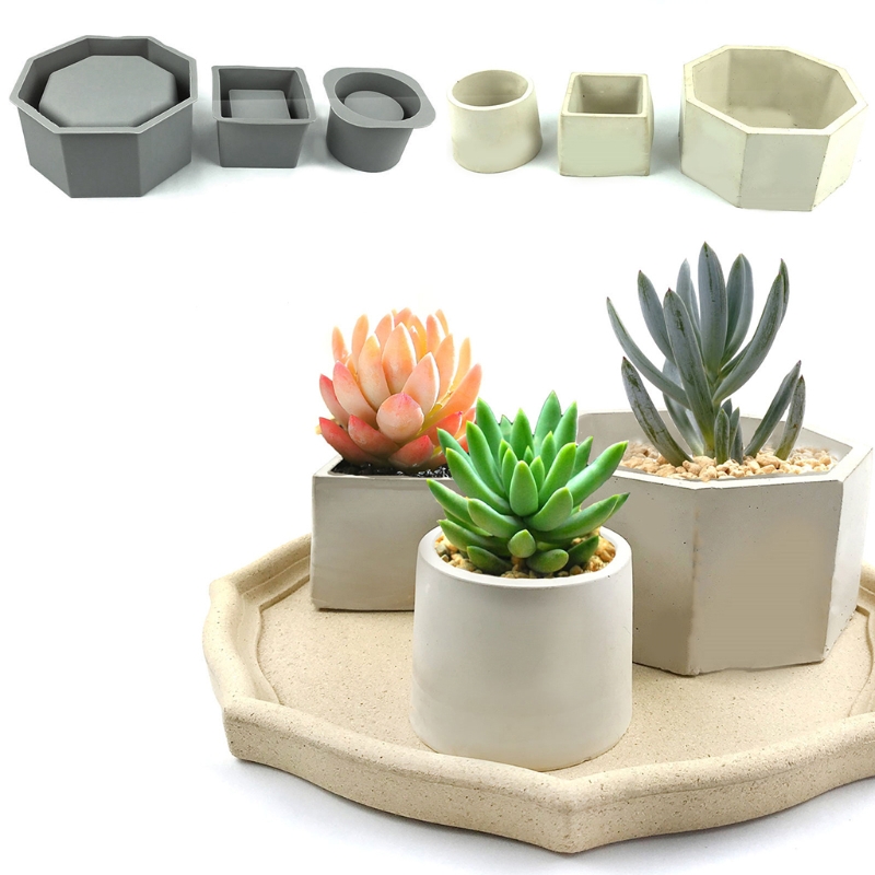 Handmade Succulent Planter Flo – Echeveria Succulent Bewertung und Preis