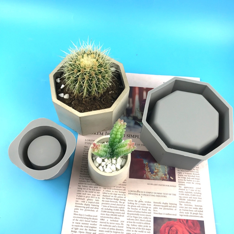 Handmade Succulent Planter Flo – Echeveria Succulent Bewertung und Preis