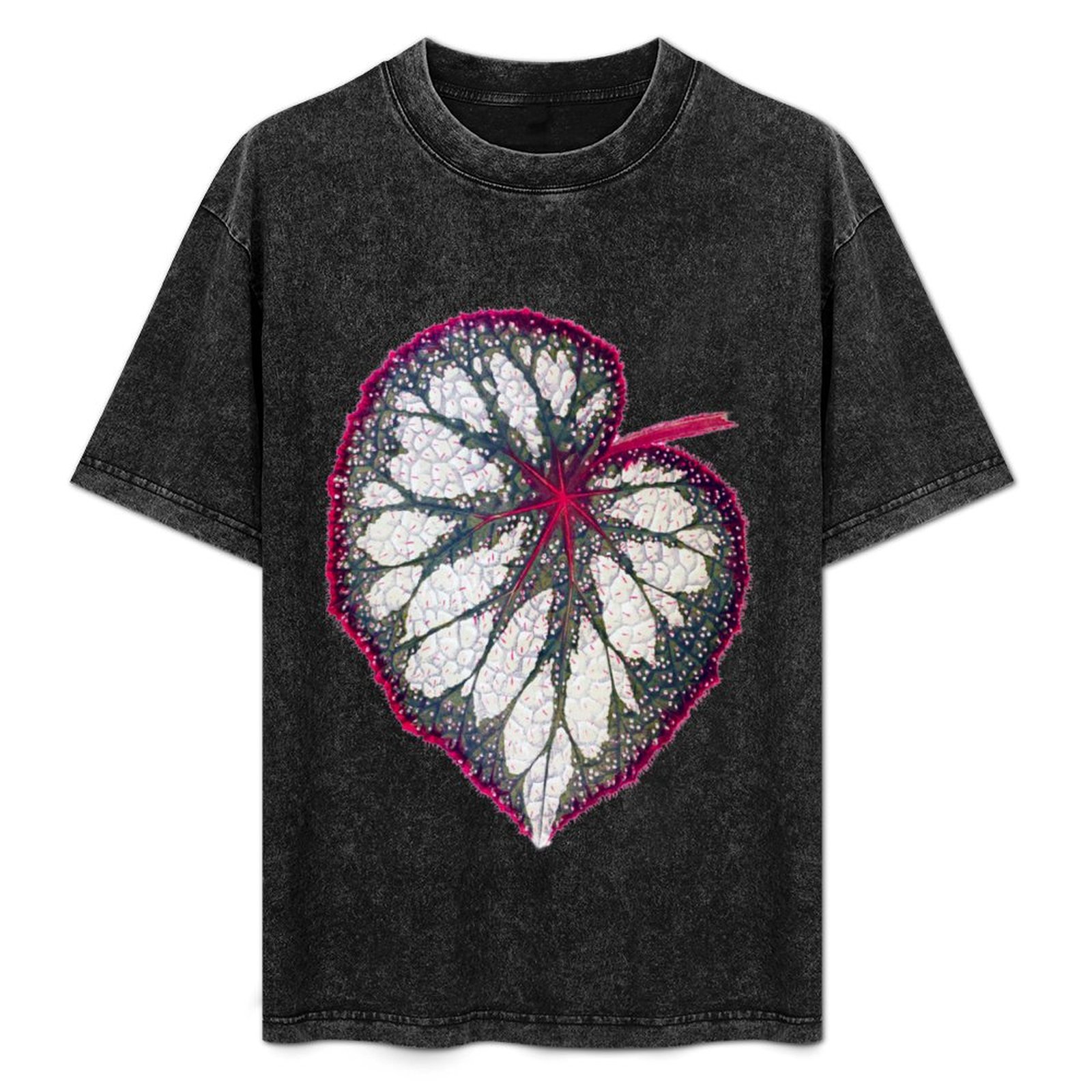 Begonia rex T-Shirt Holiday Si – Begonia Rex Bewertung und Preis