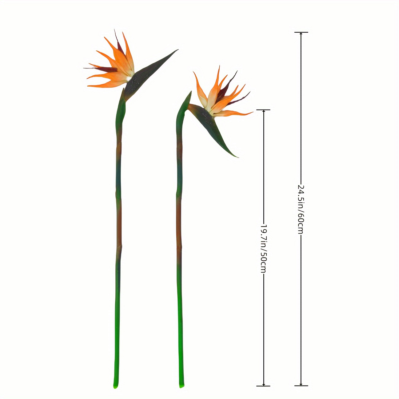 3pcs Artificial Bird Of Paradi – Bird Paradise Strelitzia Bewertung und Preis