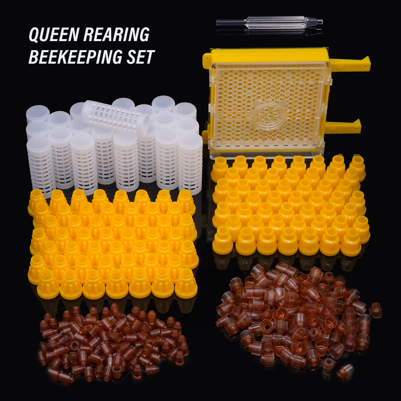 Germany Jenter Queen Rearing K – Begonia Rex Bewertung und Preis