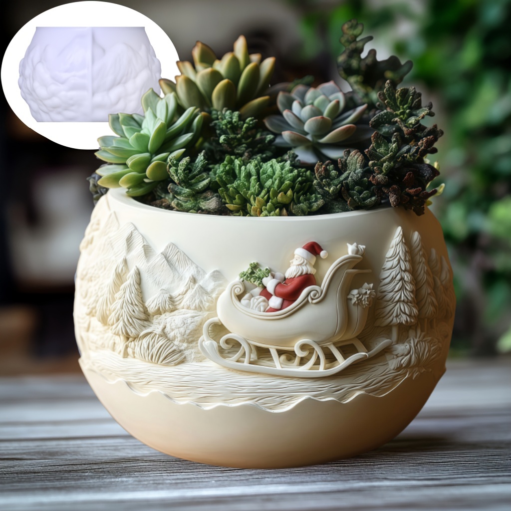Cedar Sled Santa Claus Relief  – Echeveria Succulent Bewertung und Preis