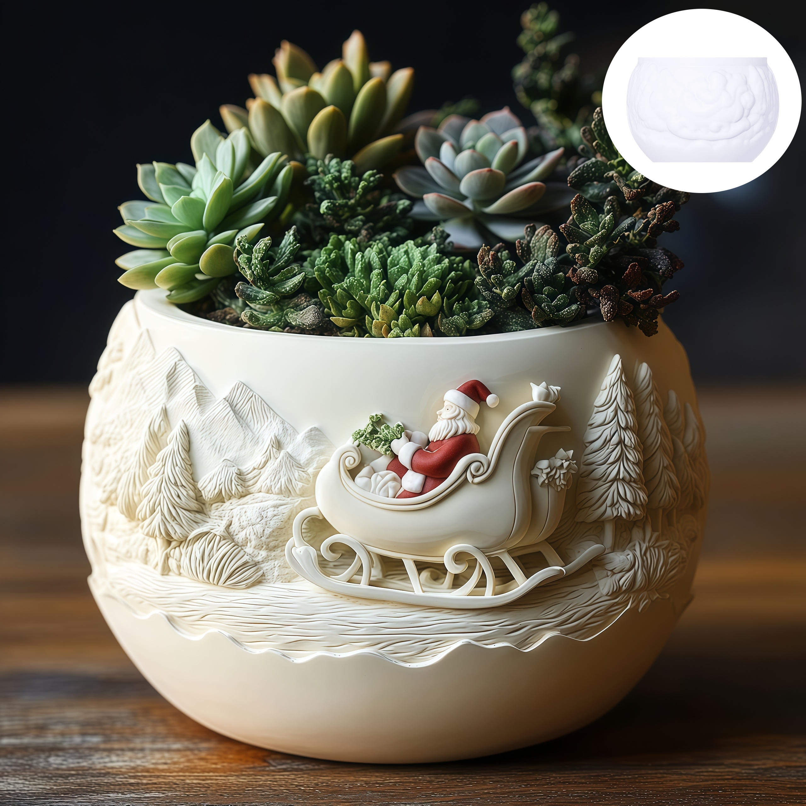 Cedar Sled Santa Claus Relief  – Echeveria Succulent Bewertung und Preis