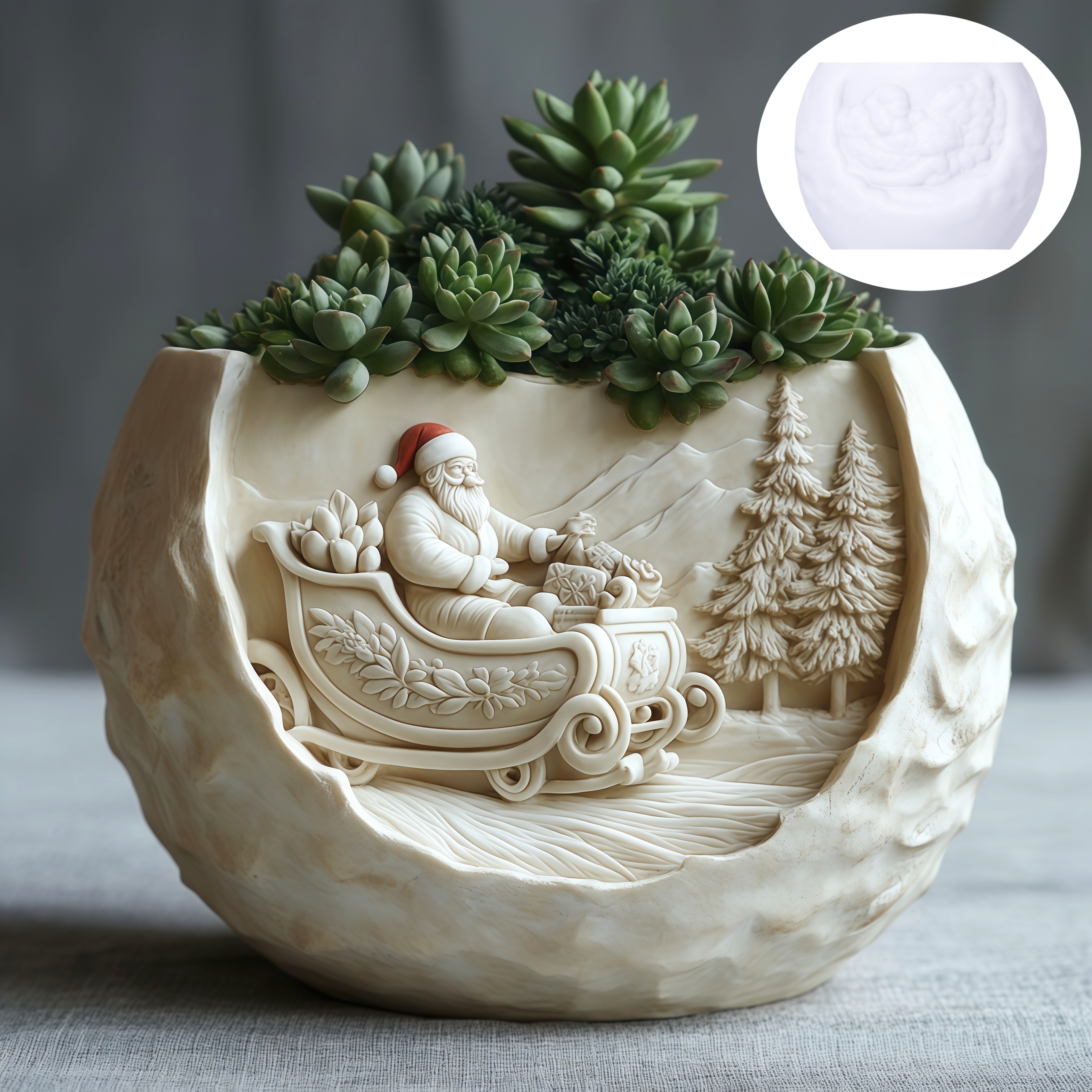 Cedar Sled Santa Claus Relief  – Echeveria Succulent Bewertung und Preis