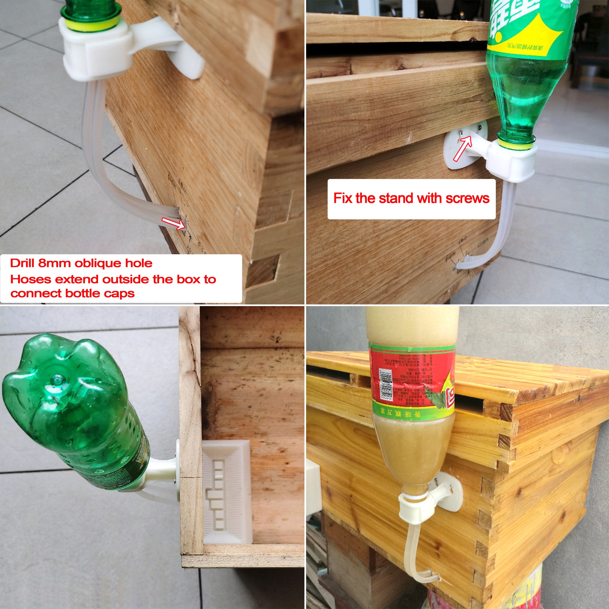2Pcs Automatic Feeding Drinker – Begonia Rex Bewertung und Preis