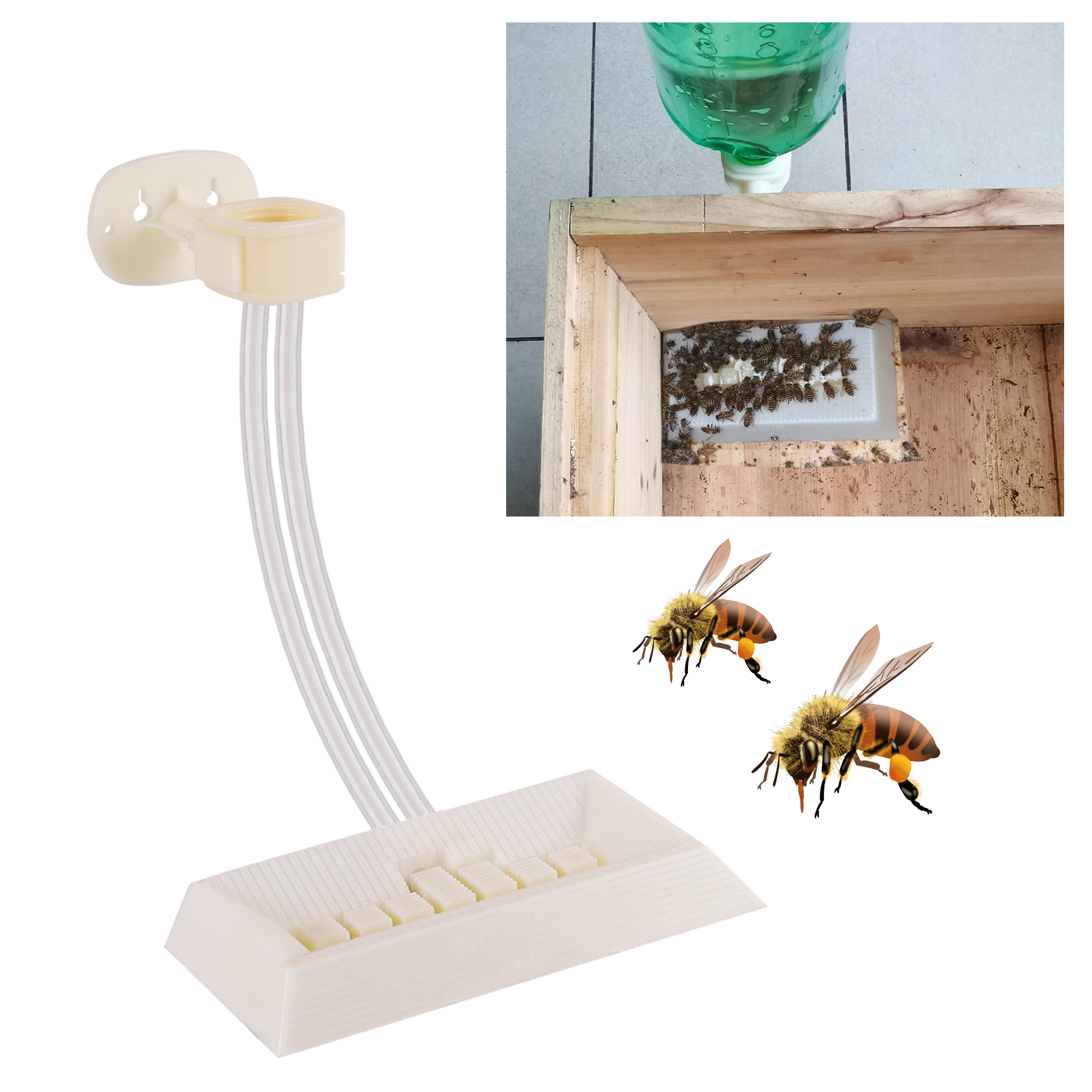 2Pcs Automatic Feeding Drinker – Begonia Rex Bewertung und Preis