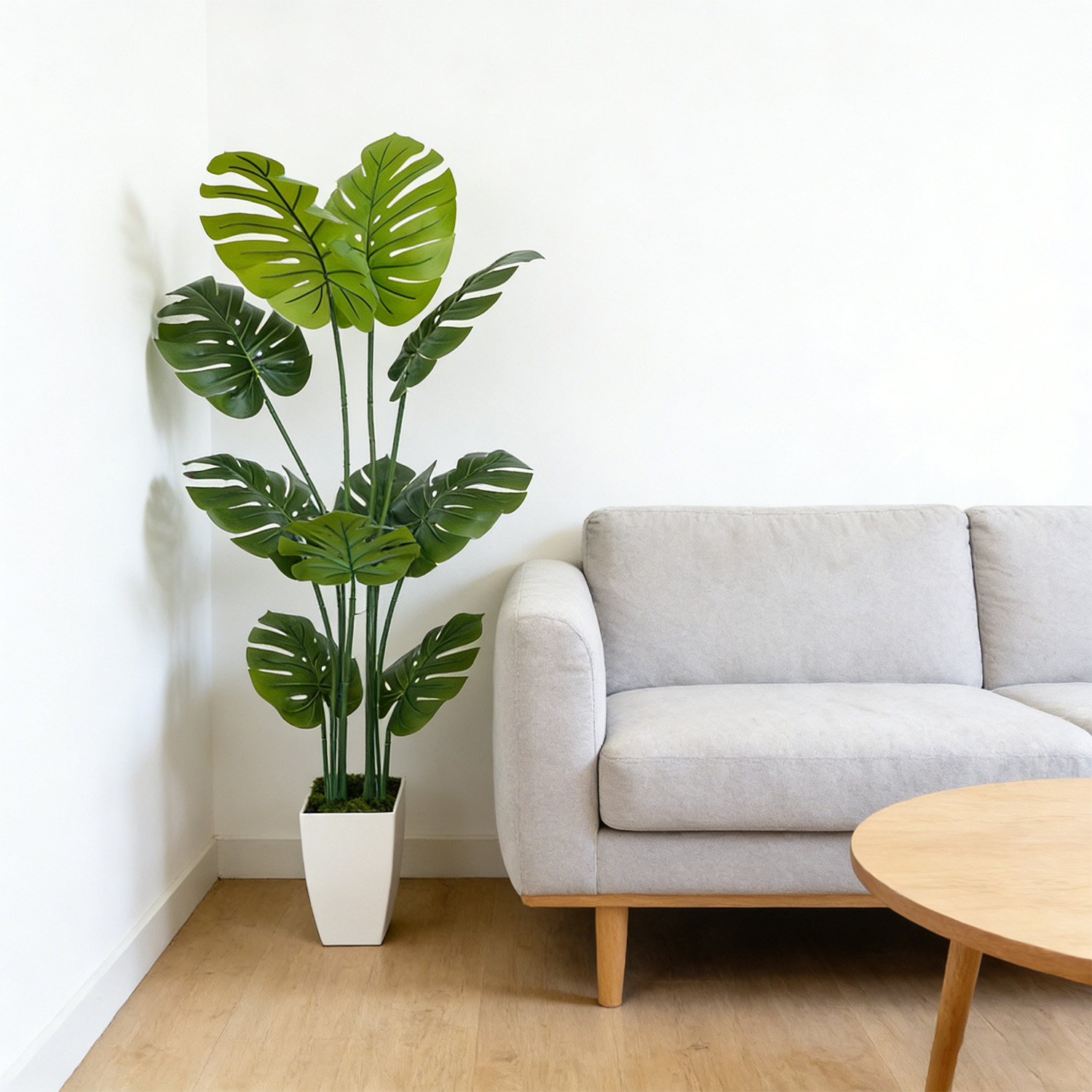 140Cm/4.6Ft Artificial Monster – Dracaena Marginata Bewertung und Preis
