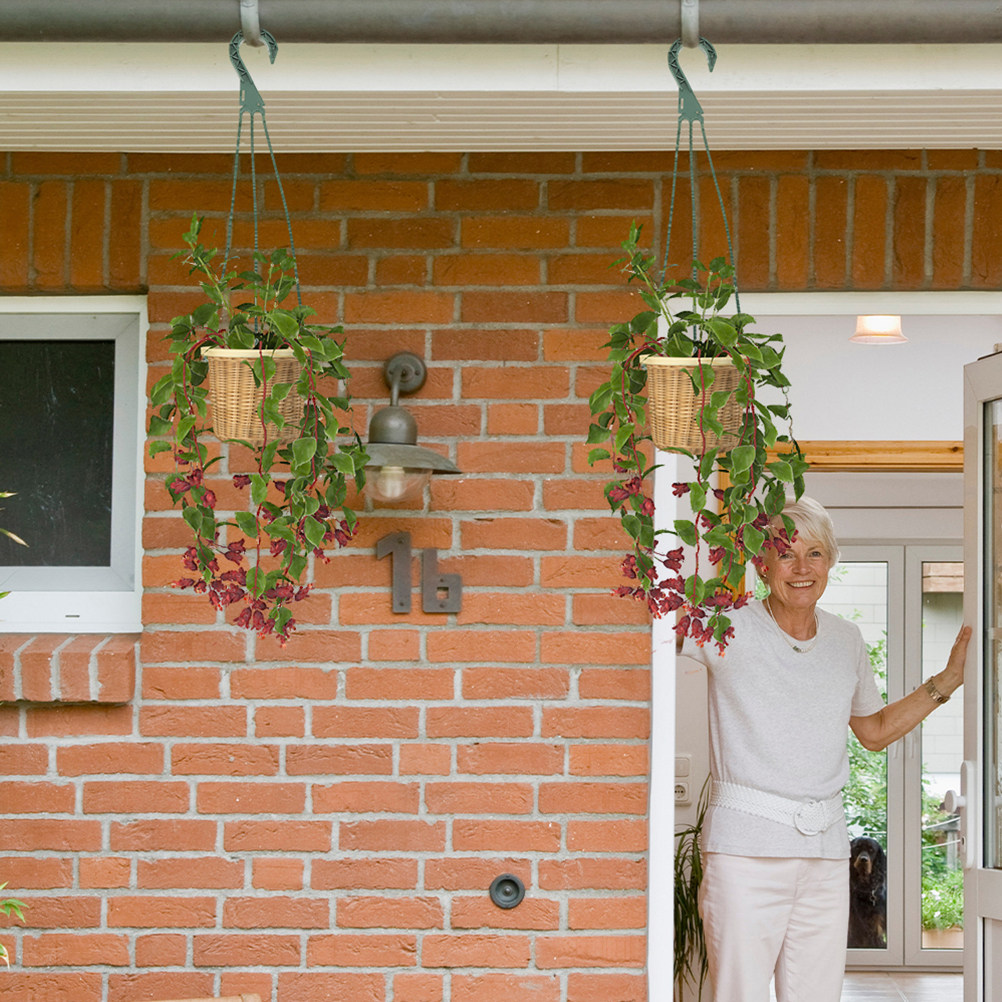 5Pcs Heavy Duty Hanging Basket – Spider Plant Hanging Bewertung und Preis