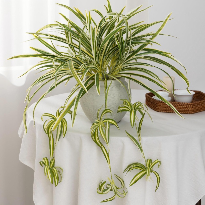 Artificial Spider Plant Chloro – Spider Plant Hanging Bewertung und Preis