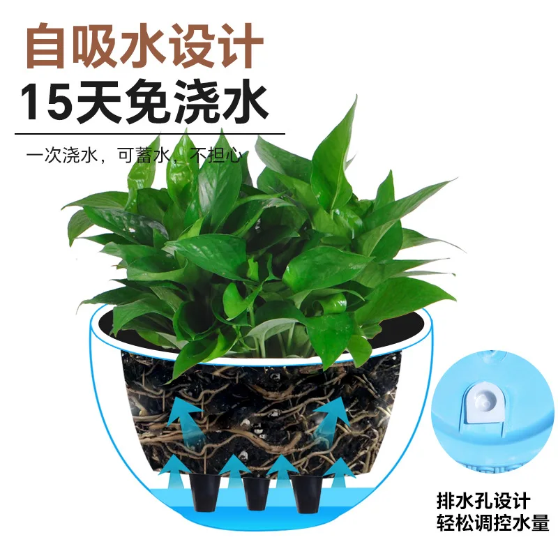 New simple imitation rattan wo – Spider Plant Hanging Bewertung und Preis