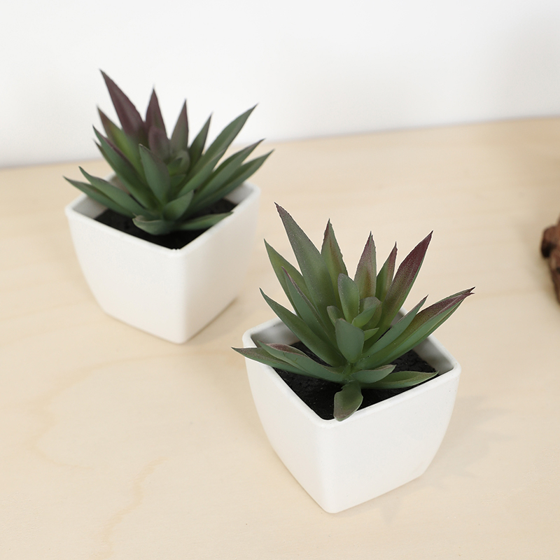 Mini Artificial Succulent Fair – Echeveria Succulent Bewertung und Preis