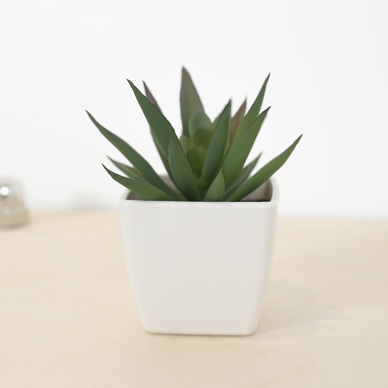 Mini Artificial Succulent Fair – Echeveria Succulent Bewertung und Preis