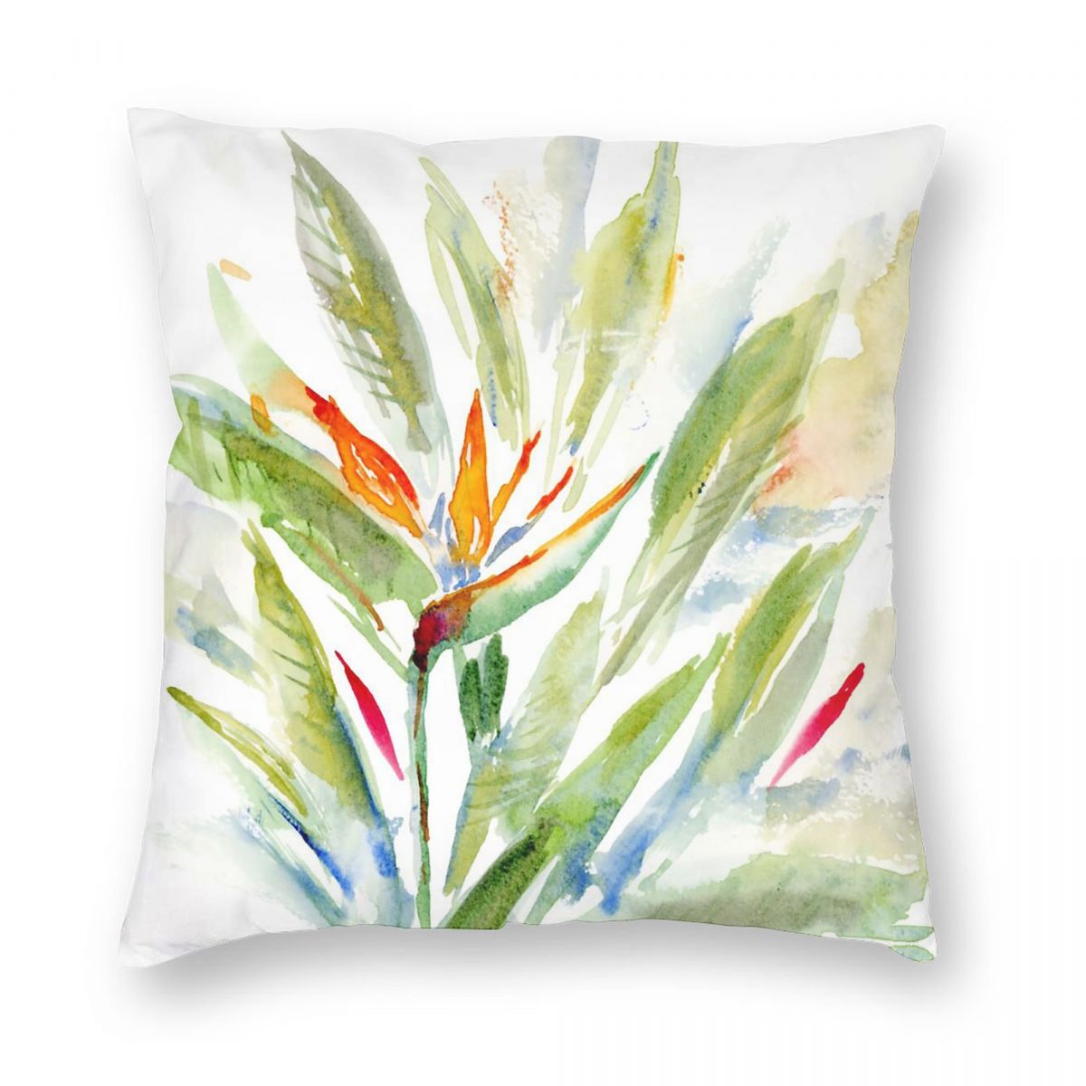 Bird Of Paradise Strelitzia Sq – Bird Paradise Strelitzia Bewertung und Preis
