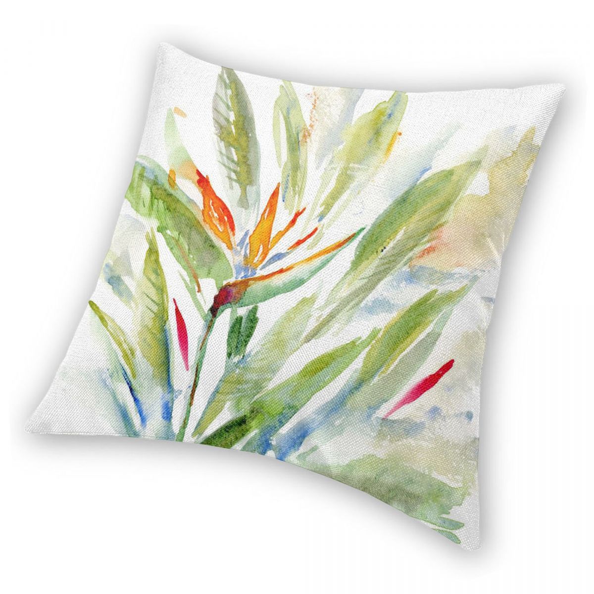 Bird Of Paradise Strelitzia Sq – Bird Paradise Strelitzia Bewertung und Preis