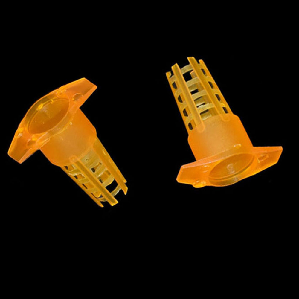 20 pcs Plastic Bee Queen Cage  – Begonia Rex Bewertung und Preis