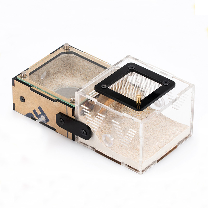 Unlimited Expansion Ant Farm H – Begonia Rex Bewertung und Preis