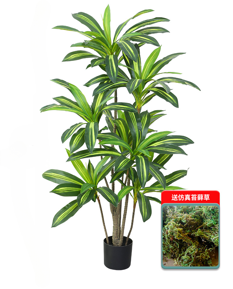 Nordic Wind Large Simulation P – Dracaena Marginata Bewertung und Preis