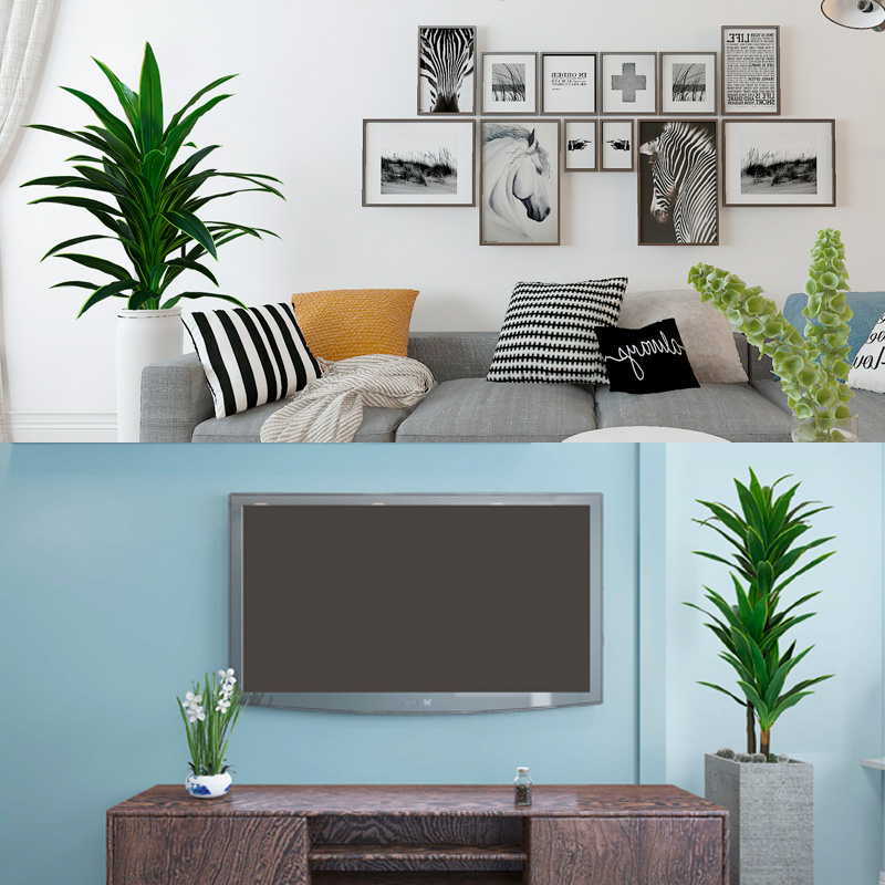 Nordic Wind Large Simulation P – Dracaena Marginata Bewertung und Preis