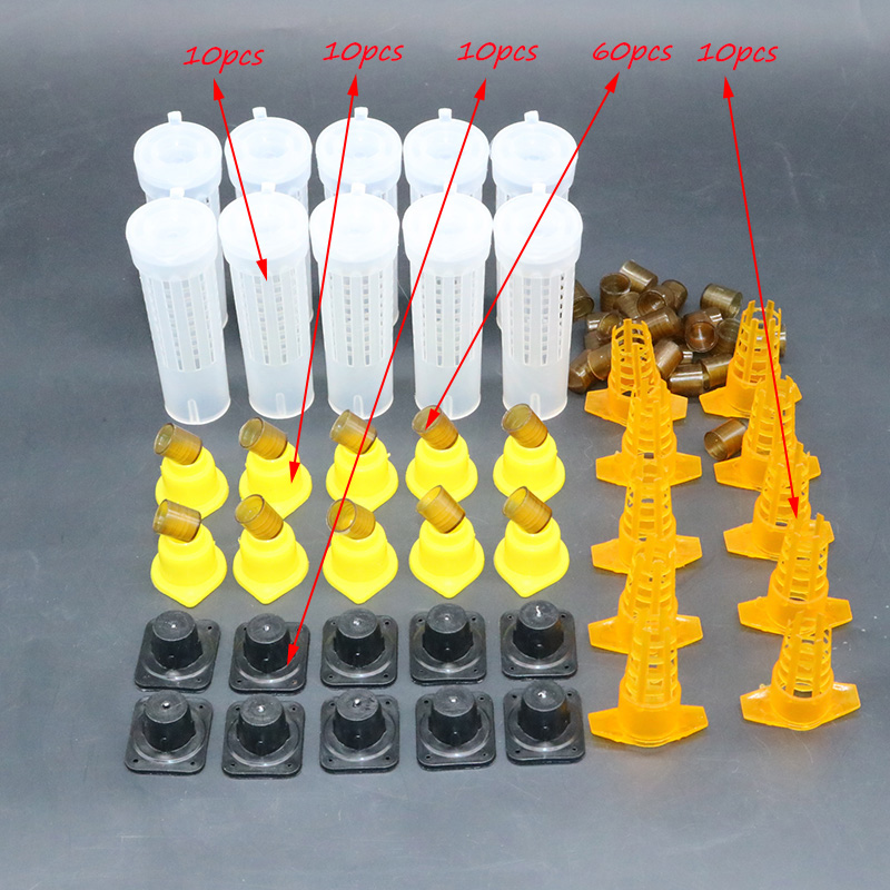 Complete bee queen king rearin – Begonia Rex Bewertung und Preis